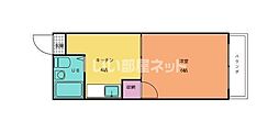 コートオリーブII 202
