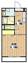 Ｂｒａｎｃｈｅ泉 105