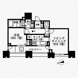 THE HASHIMOTO TOWER 1102
