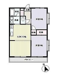 カターラ梶 101