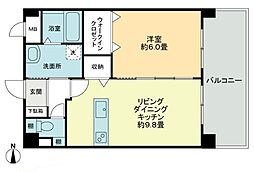 エストレーラ 206