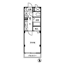 アバンウェル ディッツォ 302