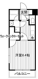 プリムローズ 103