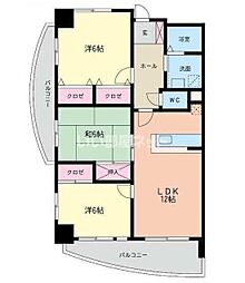 カサブランカ・フィールド 501