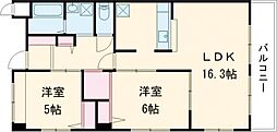 ウィズピュアあのお 501