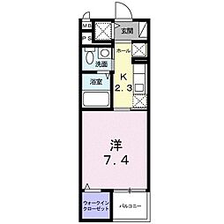 Ｆｏｒｅｓｔ 202