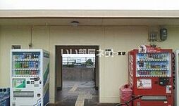 ＳＩＮＡ−ＪＹＵＲＩＭＥ　La’Vie (シナジュライムラヴィプラ 205