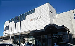 ＧＲＥＥＮ　ＦＩＬ 301