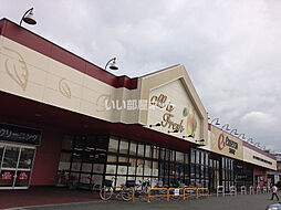 フレーシュII 201