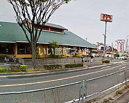 ポンテフィーコ 202