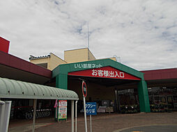 アマデウス 310