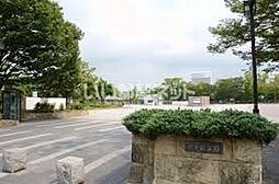 朝日プラザ船場 502