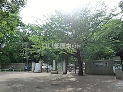 ステラ下連雀 101