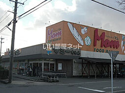 Ｆｅｌｓｅｎ　ｄｒｅｉ 101