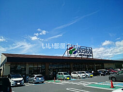 サニーハウス 102