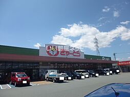 アーリーバードII 4B