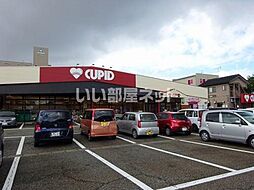 クラシック牡丹山 403