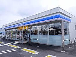 マンデリーノ 201