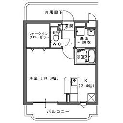 ルアージュ　ショコラ 202