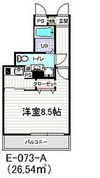 市川市新田5丁目