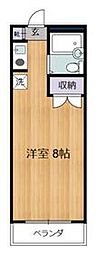 杉並区浜田山4丁目