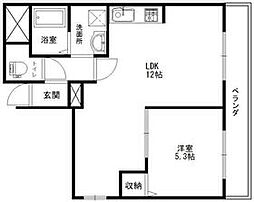 ホワイトオーク 501