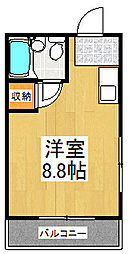 メゾン渡部2号館 301