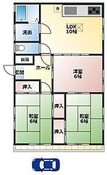 ｐｅｔｉｔｅ　ｆｌｅｕｒ 1