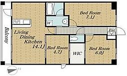 ボワ・デ・コガネ 901