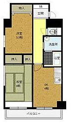 国分寺市本多5丁目