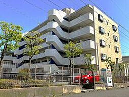 市川市南八幡1丁目