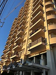 コットンアイランドアルテ 909