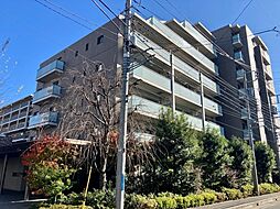 シャリエ朝霞 409