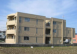 ＥＳＰＲＩＴ 202