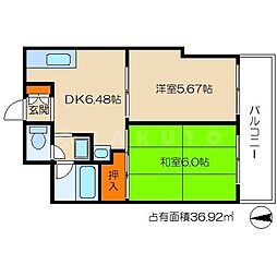 シンコーメゾン扇町 1008