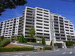 横浜市保土ケ谷区境木本町