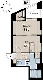 ＢＵＣＫＷＨＥＡＴ　ＴＡＮＡＫＡ 5A