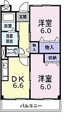 レモングラス 303