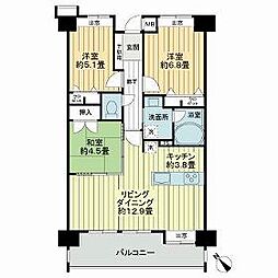 ライオンズ宜野湾セントフィ−ルズ