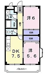 スクエアガーデン 201