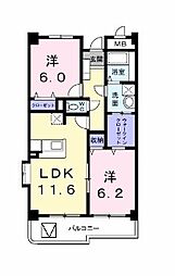 スカイピュア　16 305