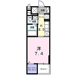 グレースコート 306