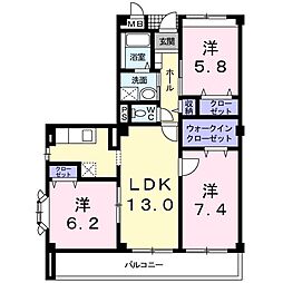 レインボウII 205