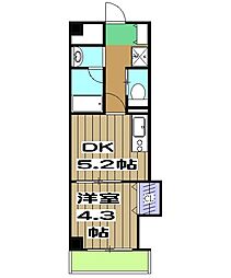 アメイジング桂 601