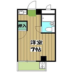 Ｄｉａｍｏｎｄ　Ｈｉｌｌ’ｓ 206