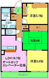 ウィステリア 306