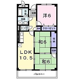 ニューサンライズ 205