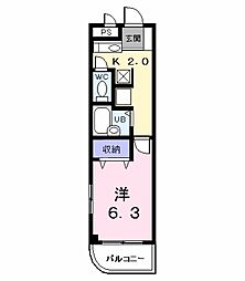 シャルマン 305