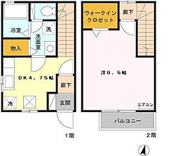 カンフォーラ G