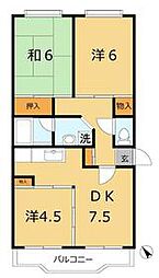 コートトライアングル 203